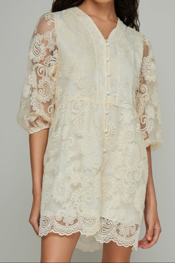 Laila Lace Paisley Mini Dress - Stylish beautiful dress for special occasions | Buy Online