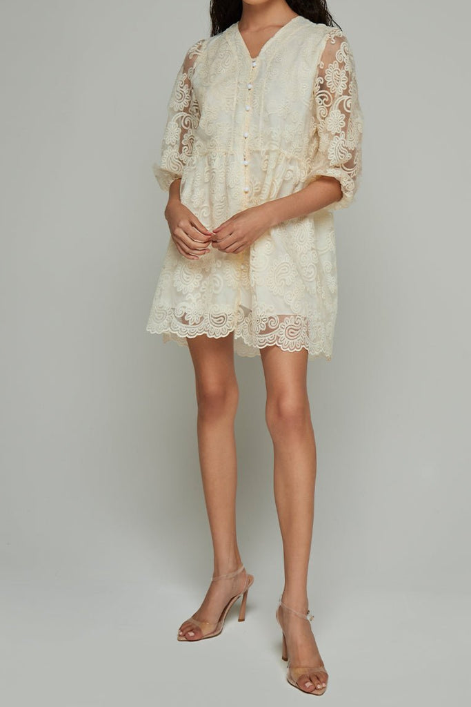 Shop  beautiful dress - Perfect for special occasions | Laila Lace Paisley Mini Dress