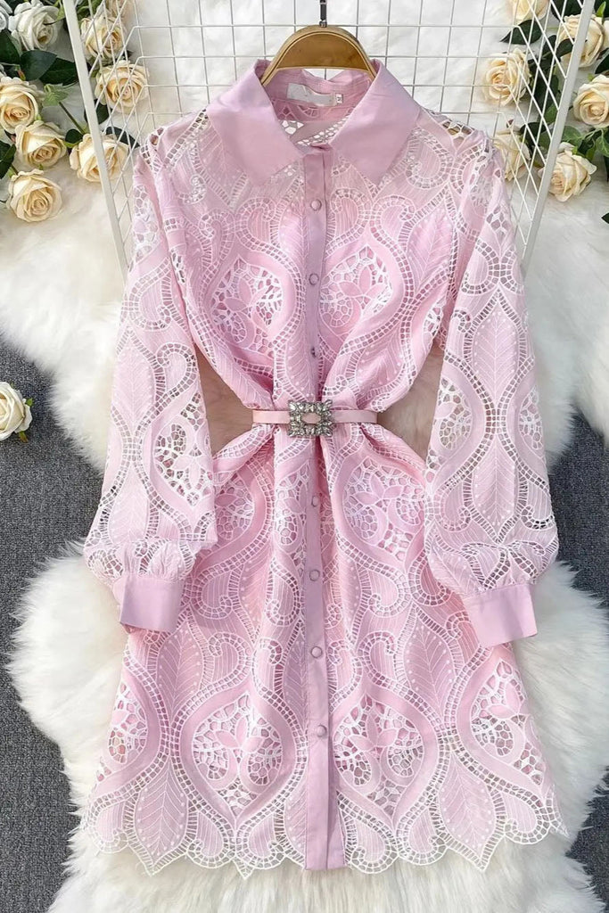 Shop  beautiful dress - Perfect for special occasions | Leah Eyelet Lapel Mini Dress