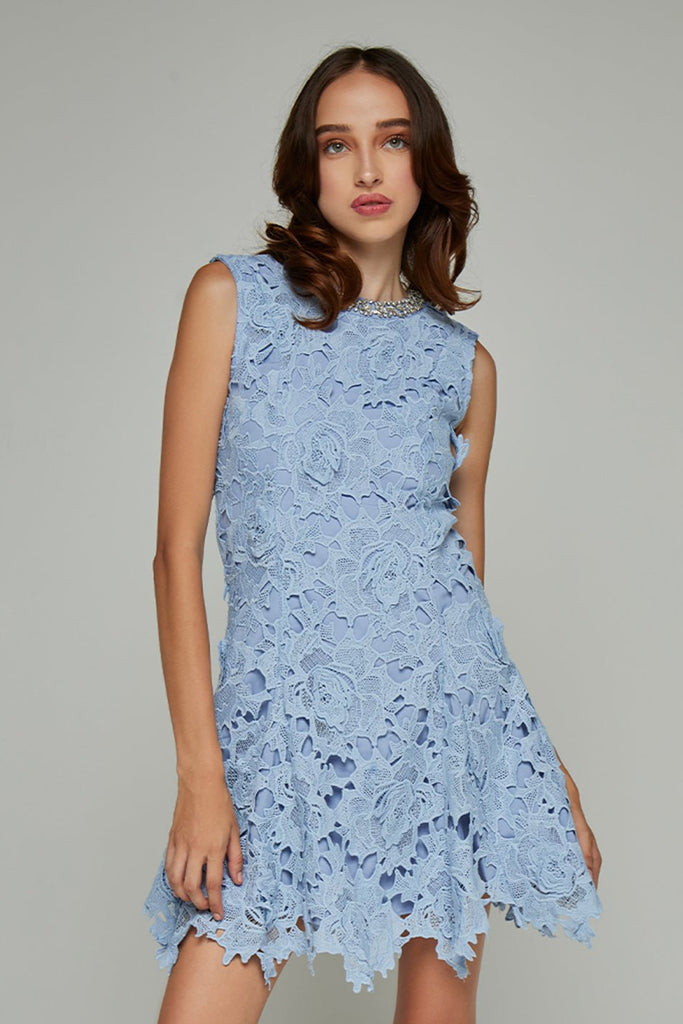 Shop  beautiful dress - Perfect for special occasions | Missy Eyelet Lace Asymmetric Hem Mini Dress