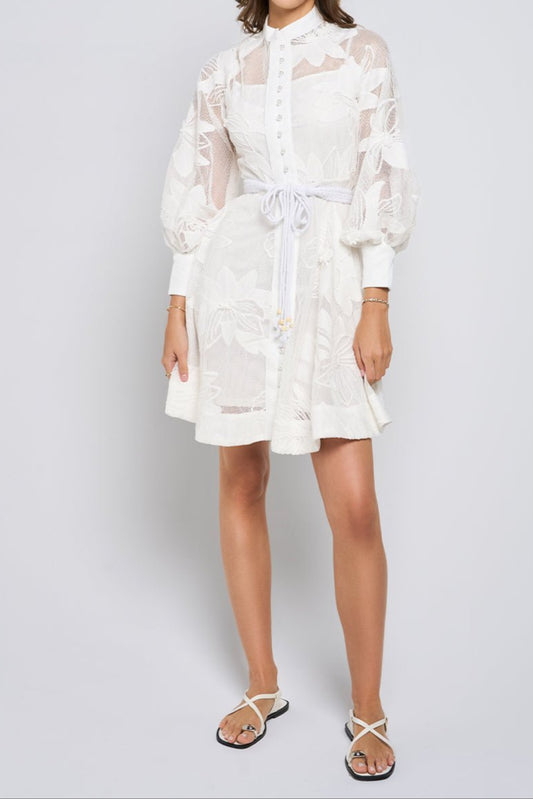 Tessie Mesh Applique Buttoned Mini Dress