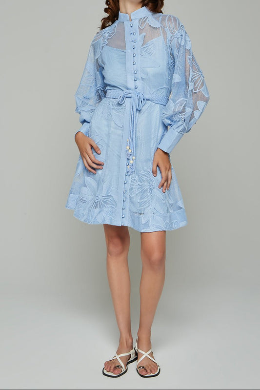 Tessie Mesh Applique Buttoned Mini Dress