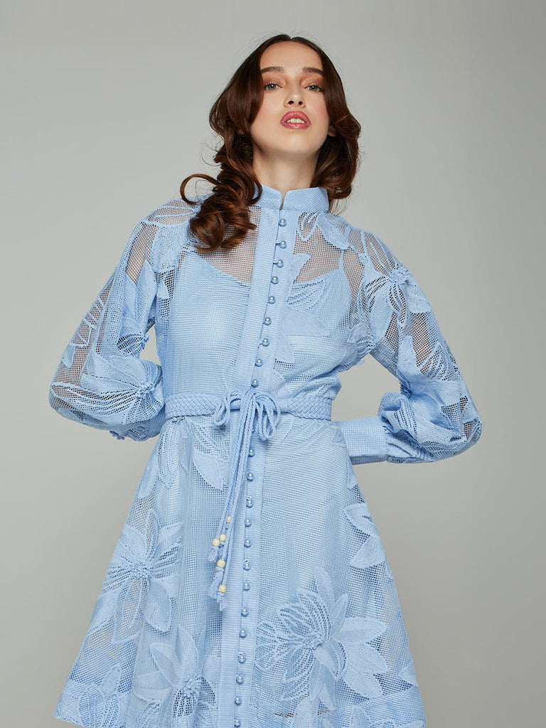 Stylish beautiful dress | Tessie Mesh Applique Buttoned Mini Dress - Ideal for special occasions